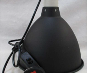 Nomoy Pet Reptile Heat Lamp