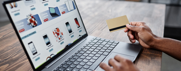Person Shopping Online