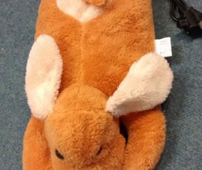Warm King Electric Hot Water Bottle
