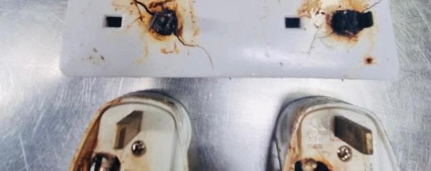 No Room for Dangerous Student Rentals, Charity Says