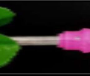 Flashing Flower Toy GT-404