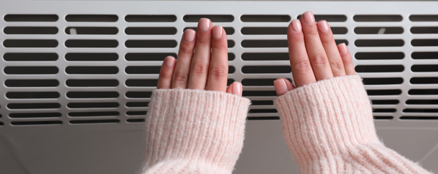 Electric heater