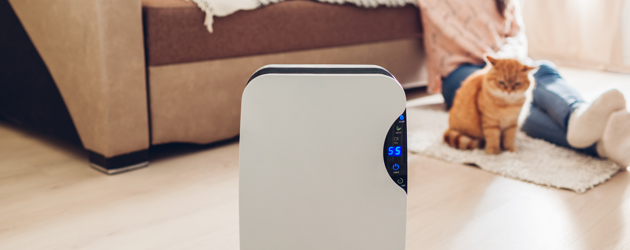 Dehumidifier