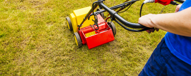 Scarifier - Istock 960933628