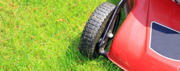 Get Smart In The Garden