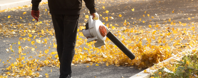 Leaf blower - Istock 1342930001