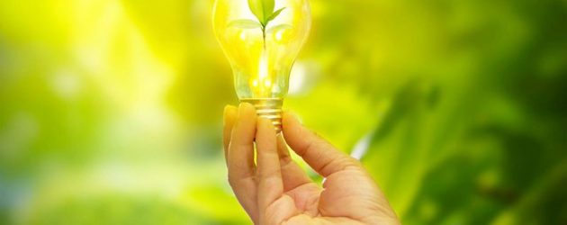 10 Ways To Go Green With Electricity (1)