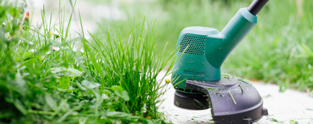 Grass trimmer - Istock 1226583525