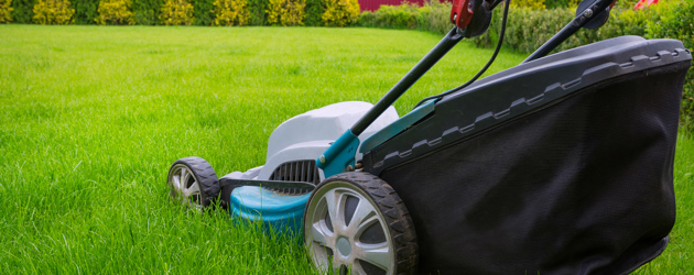 Lawnmower 2